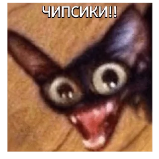 😻 emoji Че Telegram sticker 7 of 41