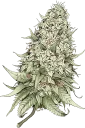🎄 emoji WeWeed Channel Telegram sticker 12 of 23