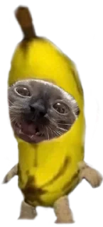 🍌 emoji puma Telegram sticker 7 of 10