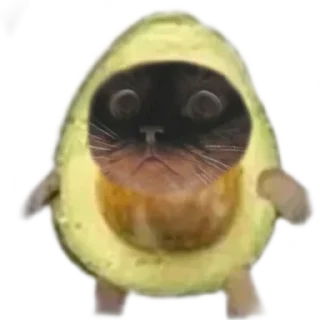 🥑 emoji puma Telegram sticker 9 of 10
