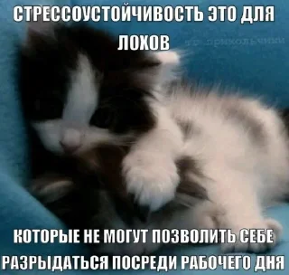 🌟 emoji olegafanatmogoxyia Telegram sticker 18 of 75