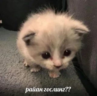 🌟 emoji для настоящей пикми Telegram sticker 7 of 120