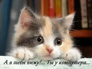 🌟 emoji Пися попа пак Telegram sticker 24 of 58
