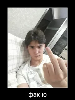 🖕 emoji стики влада Telegram sticker 14 of 29