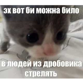 🔫 emoji мемы для няшек Telegram sticker 8 of 86