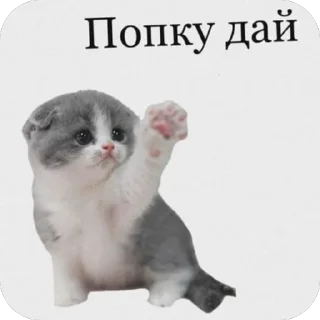🫥 emoji KYIV CHAT | UA Telegram sticker 5 of 120
