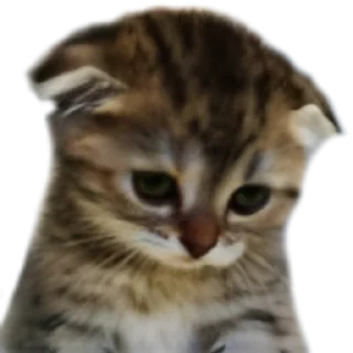 😥 emoji UwU Telegram sticker 12 of 25