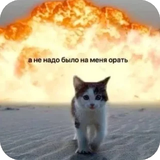 🫥 emoji Хаха Telegram sticker 9 of 55
