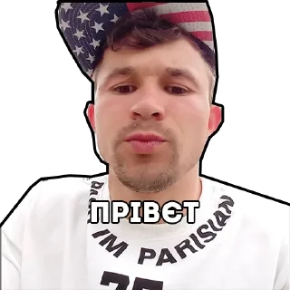 🙃 emoji МС Петя ЗВІР Telegram sticker 16 of 73