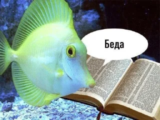 😋 emoji Тикток мемы Telegram sticker 12 of 56