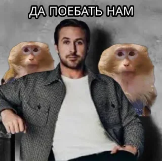 ⭐️ emoji ХАПИХОХИ N1 Telegram sticker 22 of 89