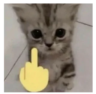 Sticker from коты