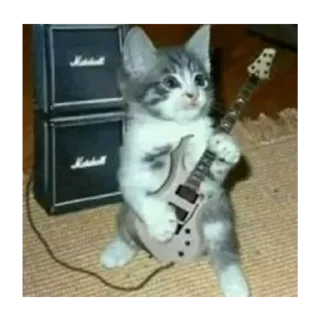 🎸 emoji коты Telegram sticker 10 of 120