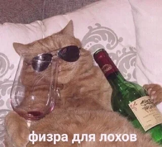 😎 emoji агро коты Telegram sticker 23 of 60