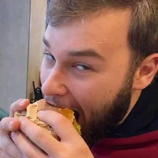 🍔 emoji ТОЯ Telegram sticker 13 of 13