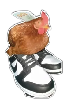 Sticker from Pinterest Meme