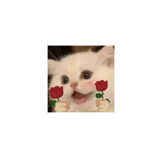 🌷 emoji сиськи маши Telegram sticker 12 of 14