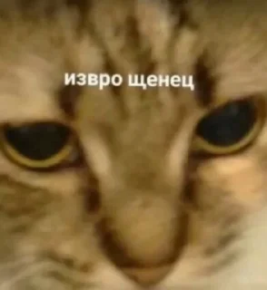 🙂 emoji стикеры от маши Telegram sticker 5 of 78