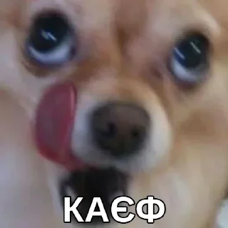 🥵 emoji †Cold paradise stikers† Telegram sticker 18 of 102