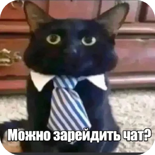 🐱 emoji свитик сигмо Telegram sticker 6 of 8