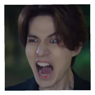 🤬 emoji Dong Wook Telegram sticker 5 of 39