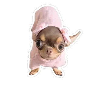🥺 emoji Псинки Telegram sticker 21 of 26