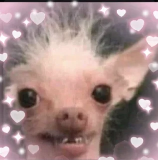 😃 emoji мемы и йа Telegram sticker 24 of 120