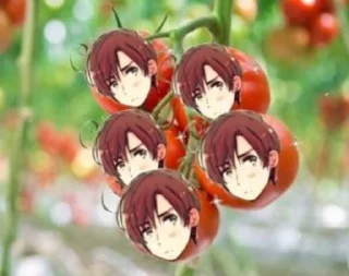 🍅 emoji Aph Romano Telegram sticker 12 of 94