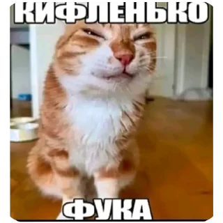 🐱 emoji DIY с уретрой Telegram sticker 17 of 24