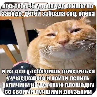 🐱 emoji DIY с уретрой Telegram sticker 23 of 24