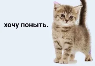 🌟 emoji Стикоры Масяни Telegram sticker 3 of 49