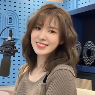 🎧 emoji が !¡🎧 Wendy . . . @lastmeetingg Telegram sticker 12 of 32