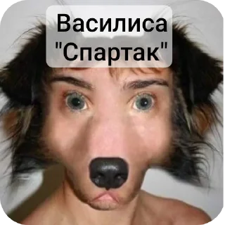 🤲 emoji Завали ебало Telegram sticker 21 of 58