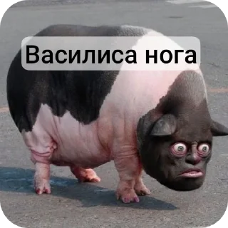 🐂 emoji Завали ебало Telegram sticker 20 of 58