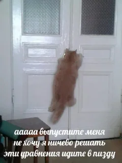 😅 emoji ебало стянул Telegram sticker 16 of 100