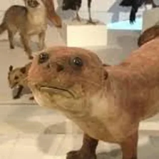🗿 emoji Cursed Otters Telegram sticker 8 of 34