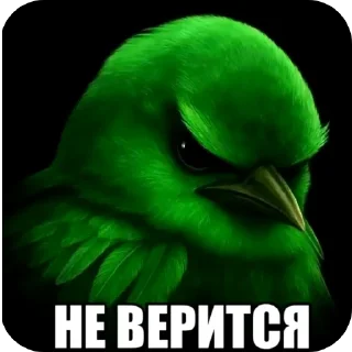 🖼 emoji Птычкы Telegram sticker 15 of 58