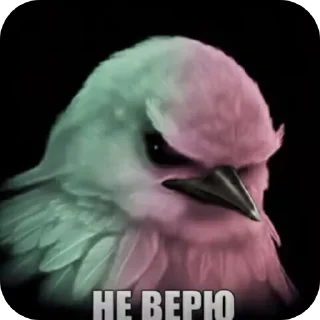 🐦 emoji Птычкы Telegram sticker 18 of 58