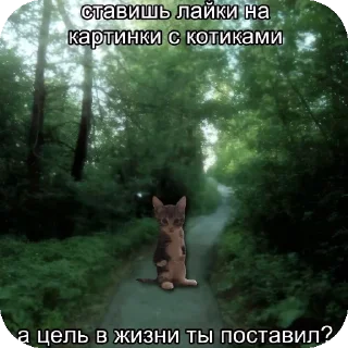🌲 emoji Не сом бади вол( Telegram sticker 14 of 95