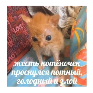 😴 emoji йо Telegram sticker 12 of 58