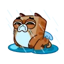 😭 emoji Cupid Kitty Telegram sticker 22 of 25