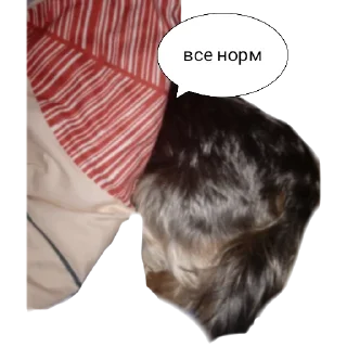 👍 emoji Дин Telegram sticker 13 of 33