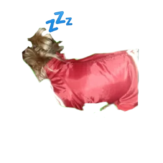 😴 emoji Дин Telegram sticker 6 of 33