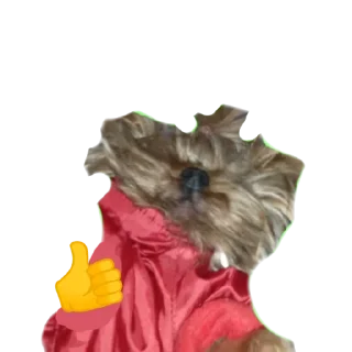 👍 emoji Дин Telegram sticker 7 of 33