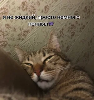 🌟 emoji 👺черкаш👺 Telegram sticker 11 of 18