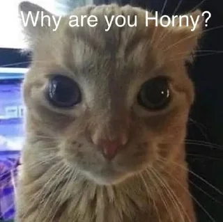 😮 emoji what the fuck? where is my baby? Telegram sticker 15 of 64