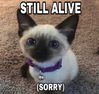 😕 emoji what the fuck? where is my baby? Telegram sticker 22 of 64