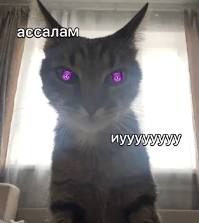🌟 emoji 👺черкаш👺 Telegram sticker 6 of 18