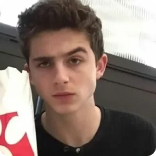 🤨 emoji Timothée Chalamet (@tfberg) Telegram sticker 17 of 49