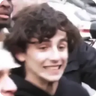 😁 emoji Timothée Chalamet (@tfberg) Telegram sticker 18 of 49